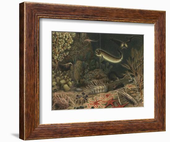 Artist's impression of deep sea scene with luminous fishes, 1903. Artist: Unknown-Unknown-Framed Giclee Print