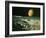 Artist's Impression of Jupiter Over Europa-Ludek Pesek-Framed Photographic Print