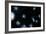 Artist's Impression of Nearby Clusters of Galaxies-David Parker-Framed Photographic Print
