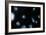 Artist's Impression of Nearby Clusters of Galaxies-David Parker-Framed Photographic Print