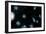 Artist's Impression of Nearby Clusters of Galaxies-David Parker-Framed Photographic Print
