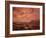 Artist's Impression of Surface of Titan-Chris Butler-Framed Photographic Print