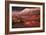 Artist's Impression of the Martian Surface-Ludek Pesek-Framed Photographic Print