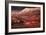 Artist's Impression of the Martian Surface-Ludek Pesek-Framed Photographic Print
