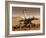 Artist's Rendition of Mars Rover-Stocktrek Images-Framed Photographic Print