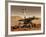 Artist's Rendition of Mars Rover-Stocktrek Images-Framed Photographic Print