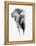 Artistic Black And White Elephant-Donvanstaden-Framed Stretched Canvas