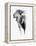 Artistic Black And White Elephant-Donvanstaden-Framed Stretched Canvas