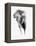 Artistic Black And White Elephant-Donvanstaden-Framed Stretched Canvas