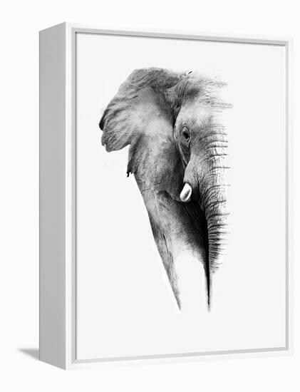 Artistic Black And White Elephant-Donvanstaden-Framed Stretched Canvas