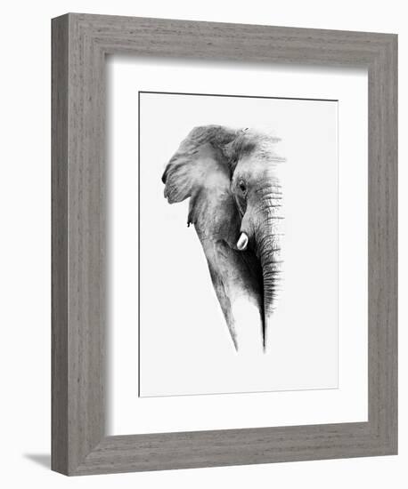 Artistic Black And White Elephant-Donvanstaden-Framed Premium Giclee Print