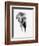 Artistic Black And White Elephant-Donvanstaden-Framed Premium Giclee Print