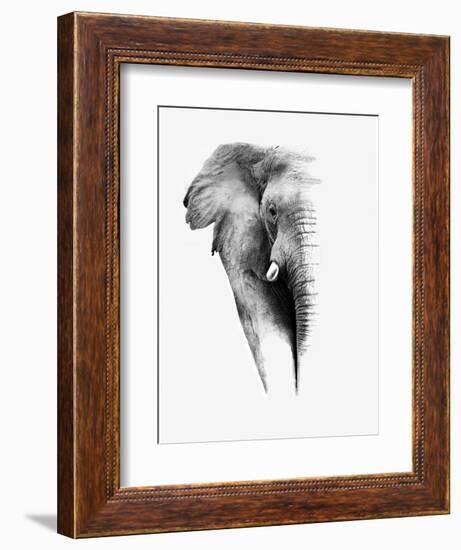 Artistic Black And White Elephant-Donvanstaden-Framed Premium Giclee Print