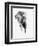 Artistic Black And White Elephant-Donvanstaden-Framed Premium Giclee Print