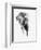 Artistic Black And White Elephant-Donvanstaden-Framed Premium Giclee Print