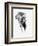 Artistic Black And White Elephant-Donvanstaden-Framed Premium Giclee Print