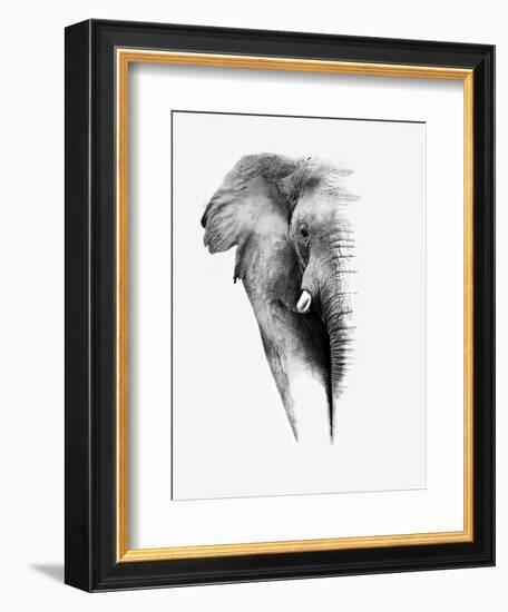 Artistic Black And White Elephant-Donvanstaden-Framed Premium Giclee Print
