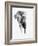 Artistic Black And White Elephant-Donvanstaden-Framed Art Print