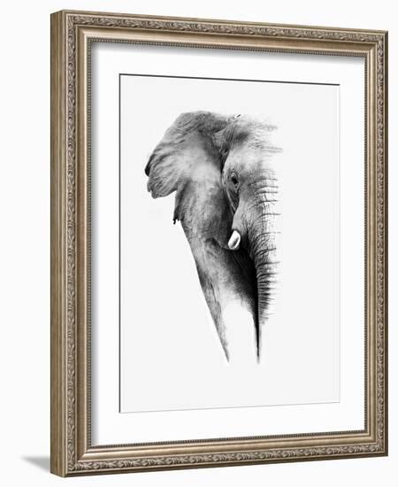 Artistic Black And White Elephant-Donvanstaden-Framed Art Print