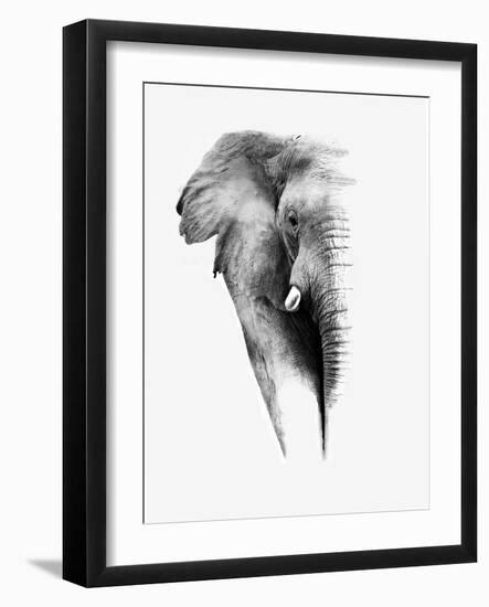 Artistic Black And White Elephant-Donvanstaden-Framed Art Print