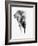 Artistic Black And White Elephant-Donvanstaden-Framed Art Print