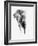 Artistic Black And White Elephant-Donvanstaden-Framed Art Print