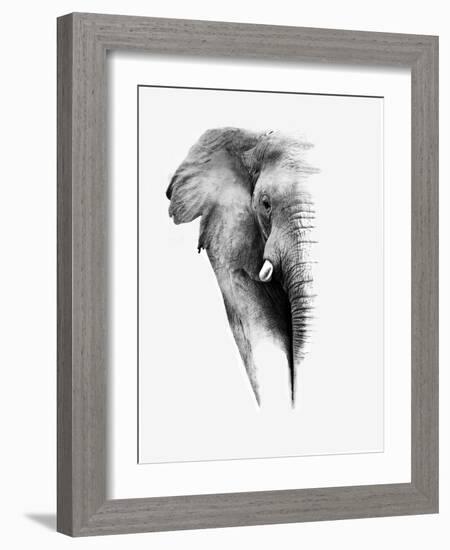 Artistic Black And White Elephant-Donvanstaden-Framed Art Print