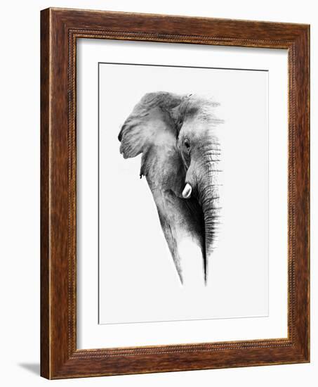 Artistic Black And White Elephant-Donvanstaden-Framed Art Print