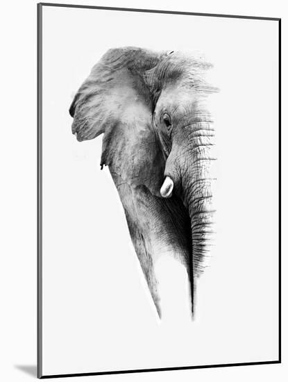 Artistic Black And White Elephant-Donvanstaden-Mounted Art Print