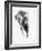 Artistic Black And White Elephant-Donvanstaden-Framed Art Print