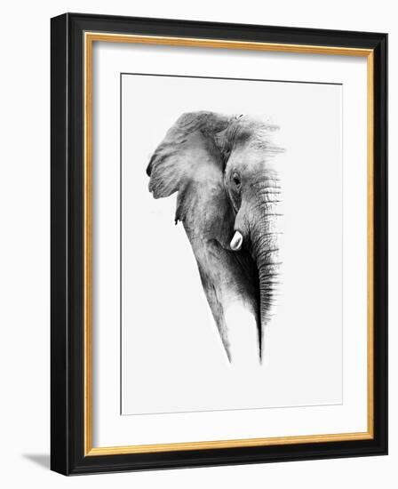 Artistic Black And White Elephant-Donvanstaden-Framed Art Print