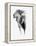 Artistic Black And White Elephant-Donvanstaden-Framed Stretched Canvas