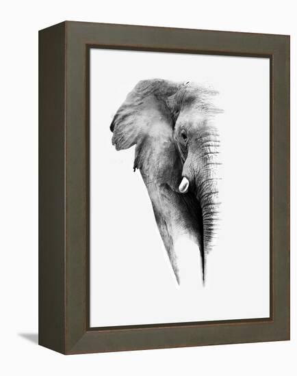 Artistic Black And White Elephant-Donvanstaden-Framed Stretched Canvas