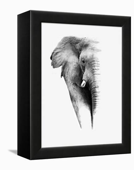 Artistic Black And White Elephant-Donvanstaden-Framed Stretched Canvas