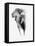 Artistic Black And White Elephant-Donvanstaden-Framed Stretched Canvas