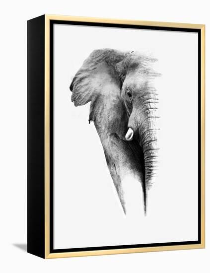 Artistic Black And White Elephant-Donvanstaden-Framed Stretched Canvas