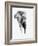 Artistic Black And White Elephant-Donvanstaden-Framed Art Print