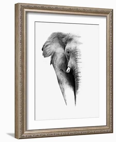 Artistic Black And White Elephant-Donvanstaden-Framed Art Print