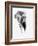 Artistic Black And White Elephant-Donvanstaden-Framed Art Print