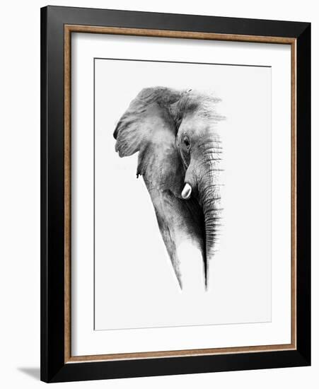 Artistic Black And White Elephant-Donvanstaden-Framed Art Print