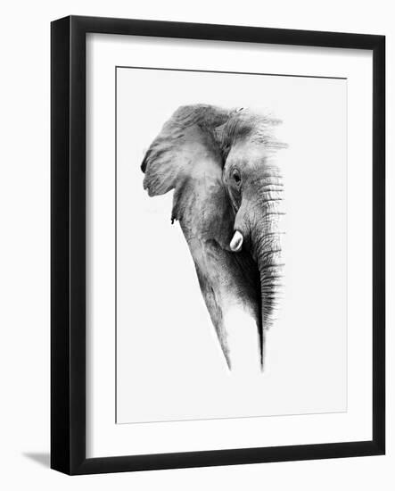Artistic Black And White Elephant-Donvanstaden-Framed Art Print