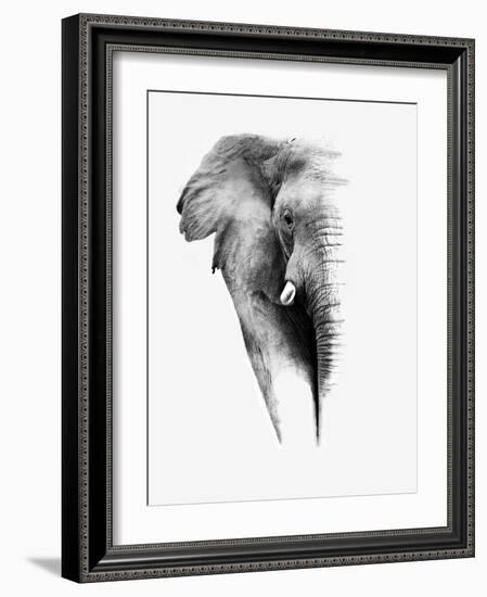 Artistic Black And White Elephant-Donvanstaden-Framed Art Print