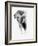 Artistic Black And White Elephant-Donvanstaden-Framed Art Print