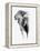 Artistic Black And White Elephant-Donvanstaden-Framed Stretched Canvas