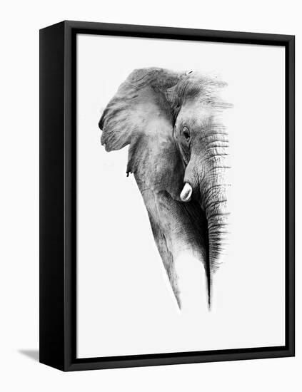 Artistic Black And White Elephant-Donvanstaden-Framed Stretched Canvas