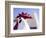 Artistic Blur, Route 66, Seligman, Arizona, USA-Julian McRoberts-Framed Photographic Print