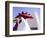 Artistic Blur, Route 66, Seligman, Arizona, USA-Julian McRoberts-Framed Photographic Print