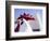 Artistic Blur, Route 66, Seligman, Arizona, USA-Julian McRoberts-Framed Photographic Print