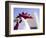 Artistic Blur, Route 66, Seligman, Arizona, USA-Julian McRoberts-Framed Photographic Print