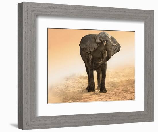 Artistic Rendition Elephant in Dust and Sunglow-Sheila Haddad-Framed Photographic Print